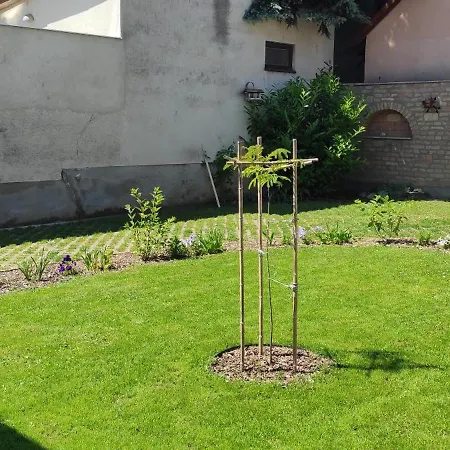 Adria Gyongye Vila Kaposvár